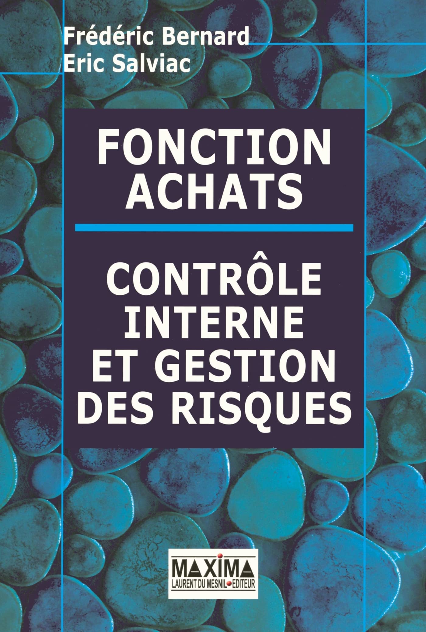 Fonction Achats : Contrôle interne et gestion des risques 9782840015765