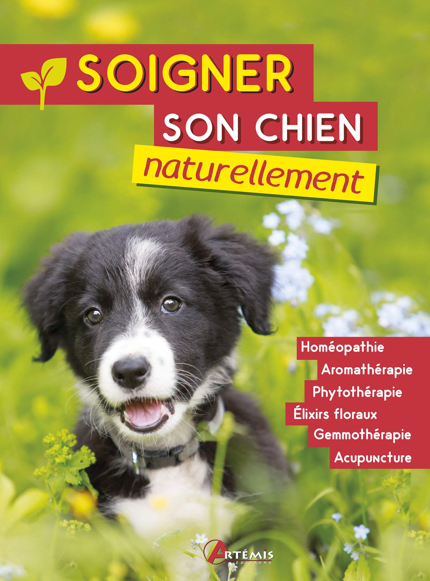 Soigner son chien naturellement 9782816012255
