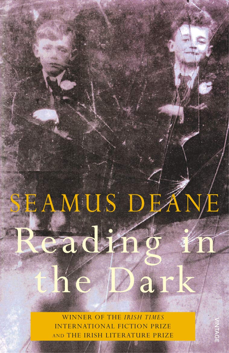 Reading in the Dark 9780099744412