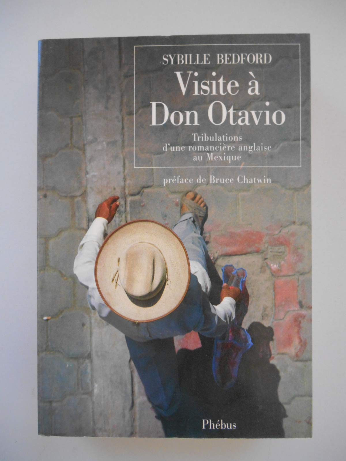 VISITE A DON OTAVIO: TRIBULATIONS D'UNE ROMANCIÈRE ANGLAISE AU MEXIQUE 9782859401757