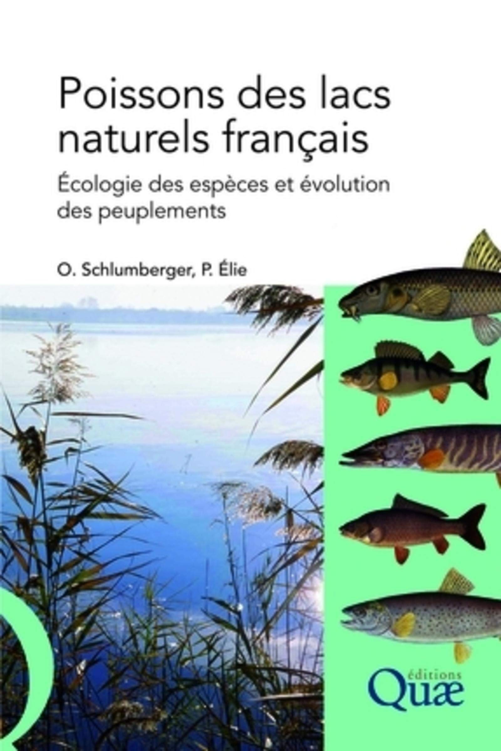 Poissons des lacs naturels français: Ecologie des espèces et évolution des peuplements 9782759200306