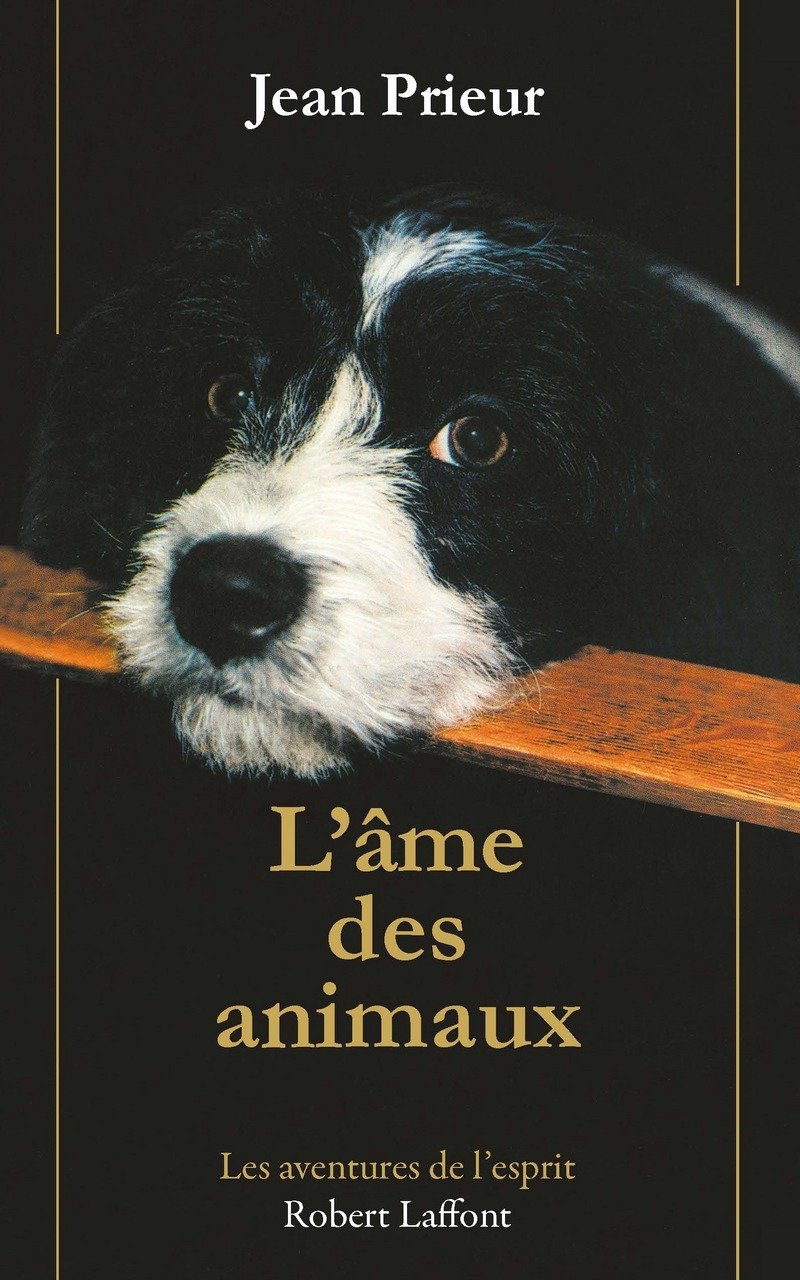 L'Âme des animaux 9782221094419