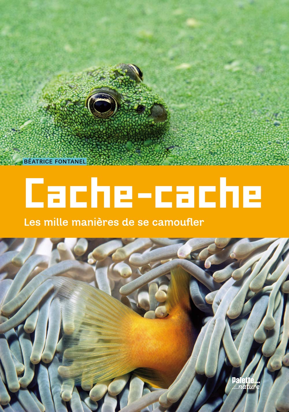 Cache-cache: Les mille manières de se camoufler 9782358320542