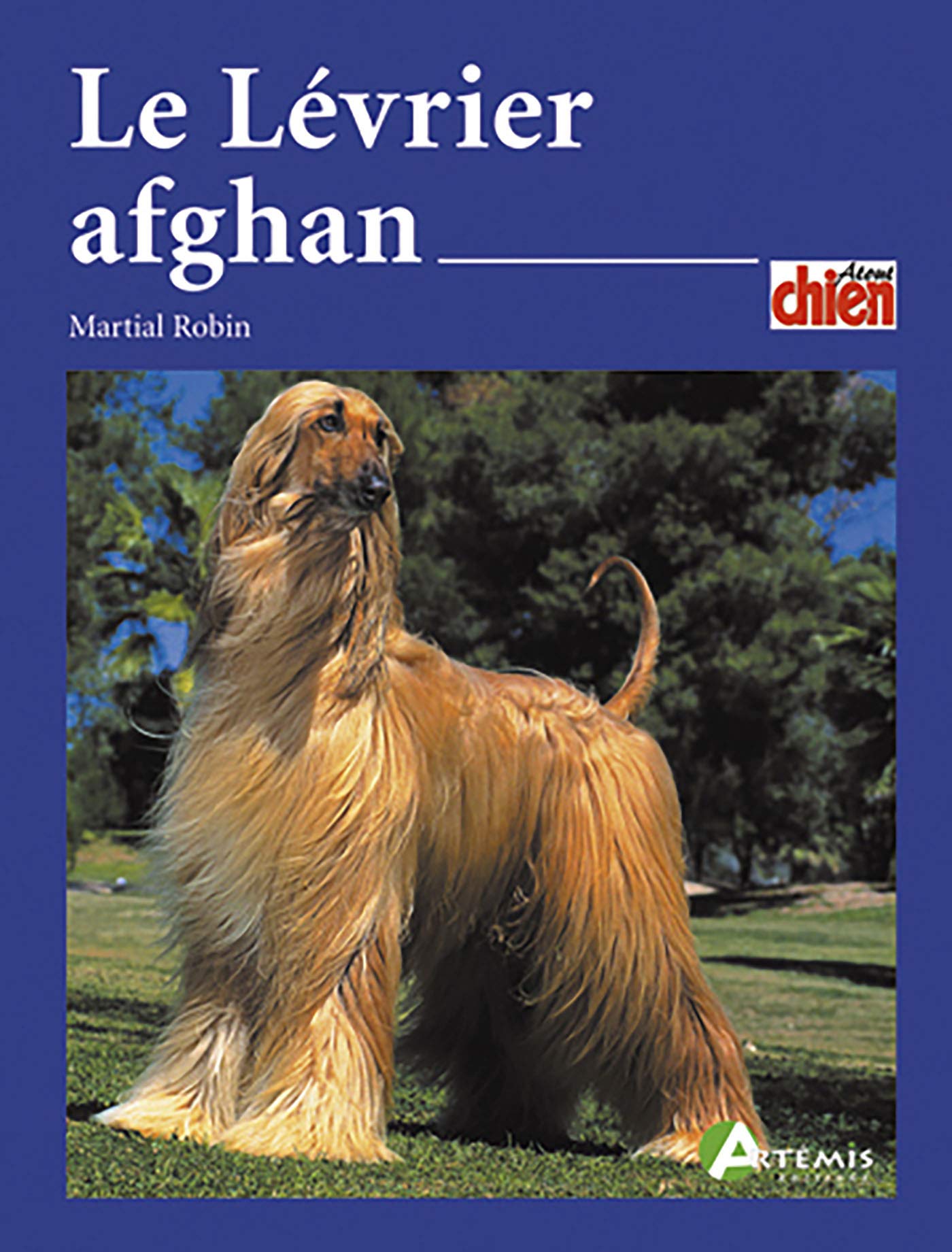 Le Lévrier afghan 9782844161536