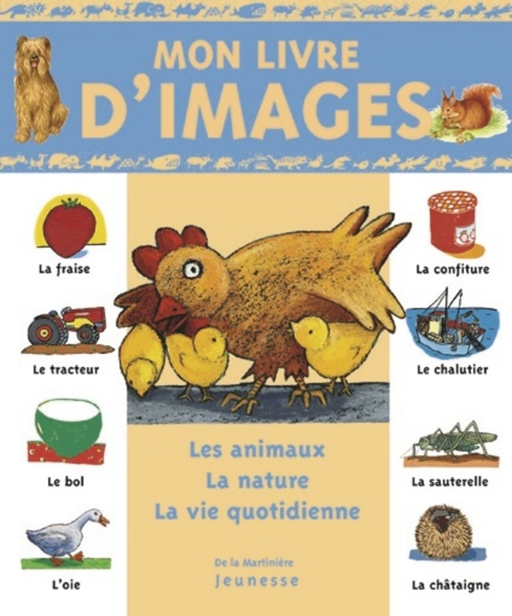 Mon livre d'images 9782732422169