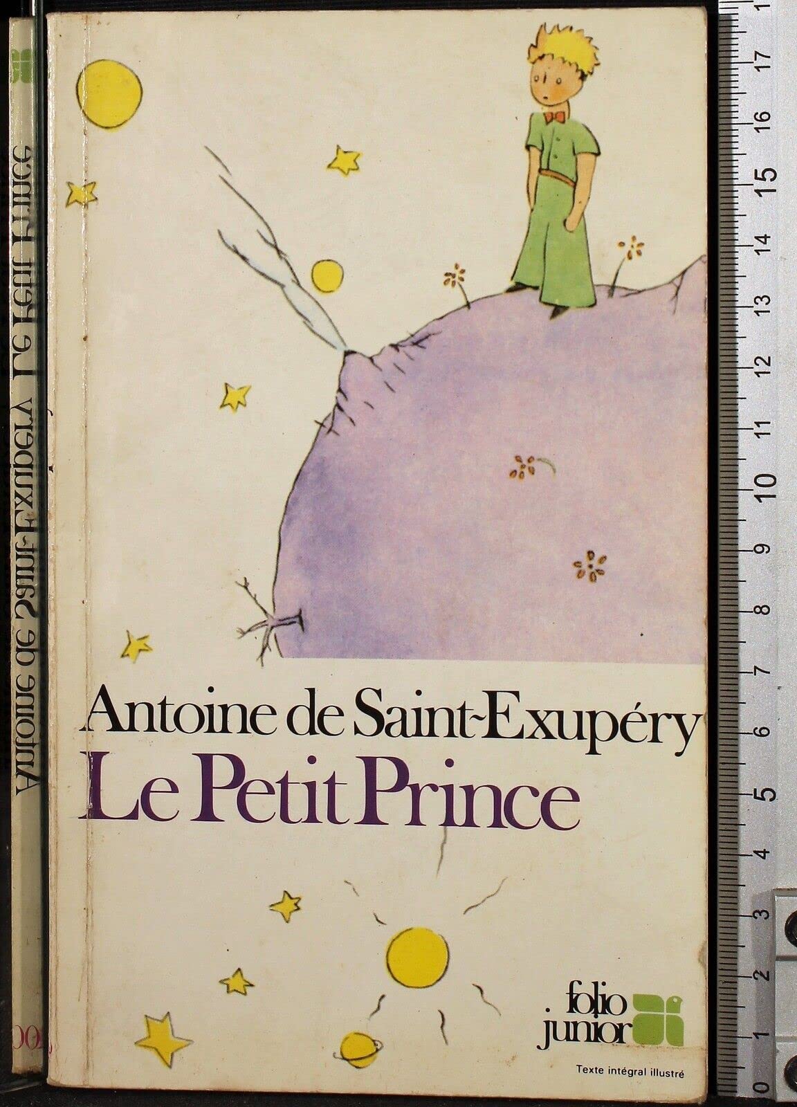 Le Petit Prince 9782070331000