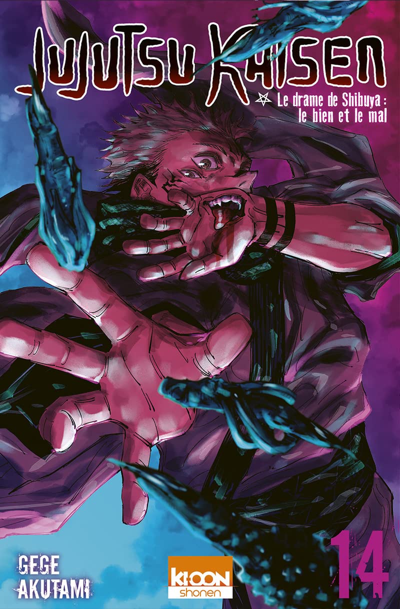Jujutsu Kaisen T14 9791032711194
