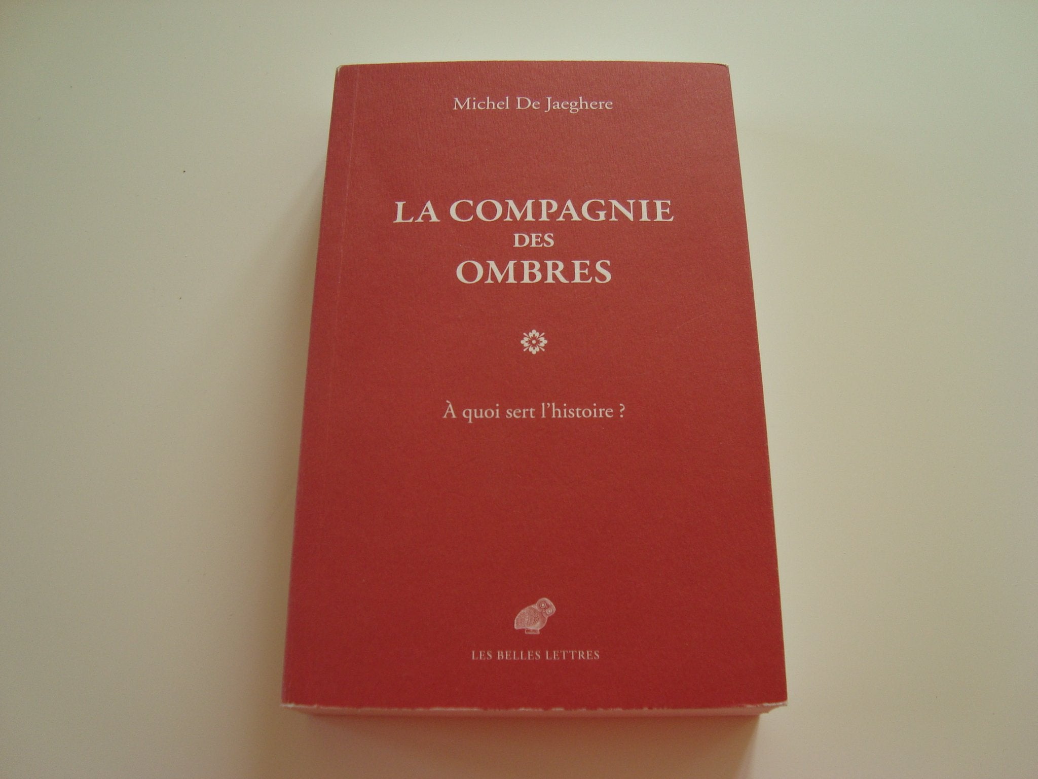 La Compagnie des ombres: À quoi sert l'histoire ? 9782251446004