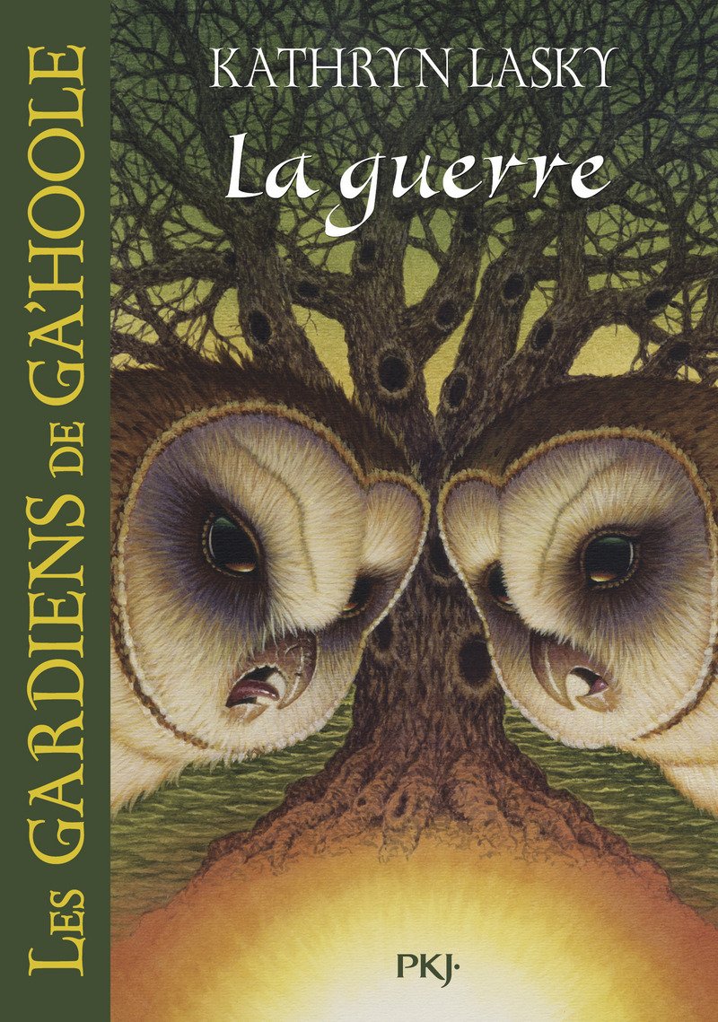 15. Les gardiens de Ga'Hoole : La Guerre 9782266194723
