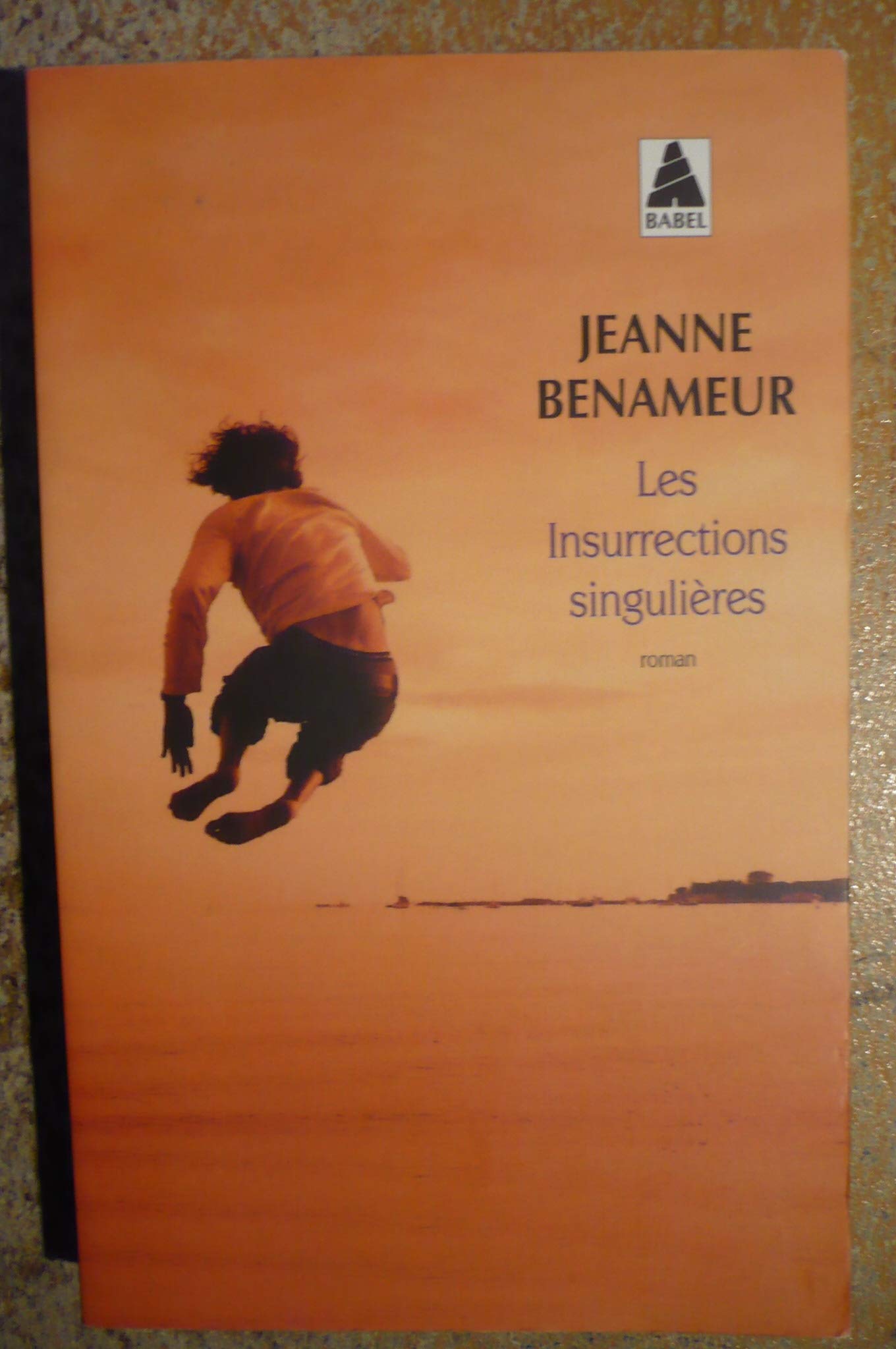 Les insurrections singulières 9782330014506