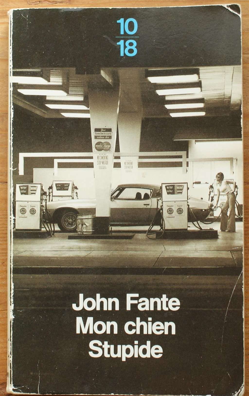 Mon chien stupide 9782264013255