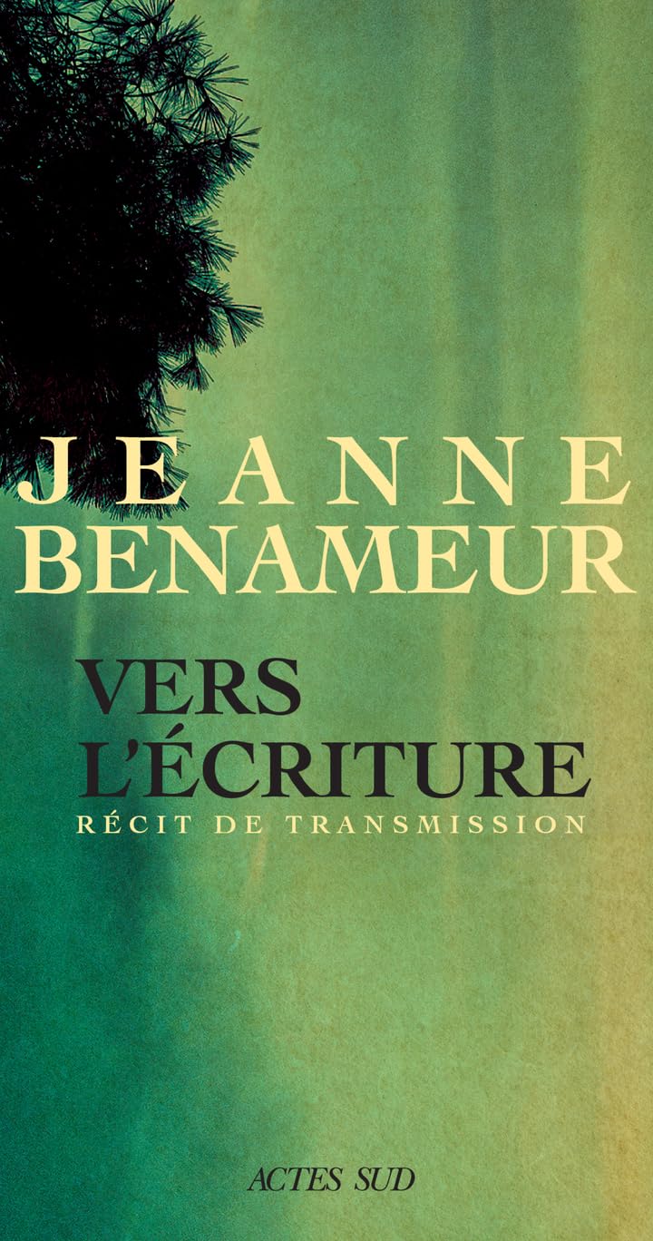 Vers l'écriture: Langue commune, langue singulière 9782330201692