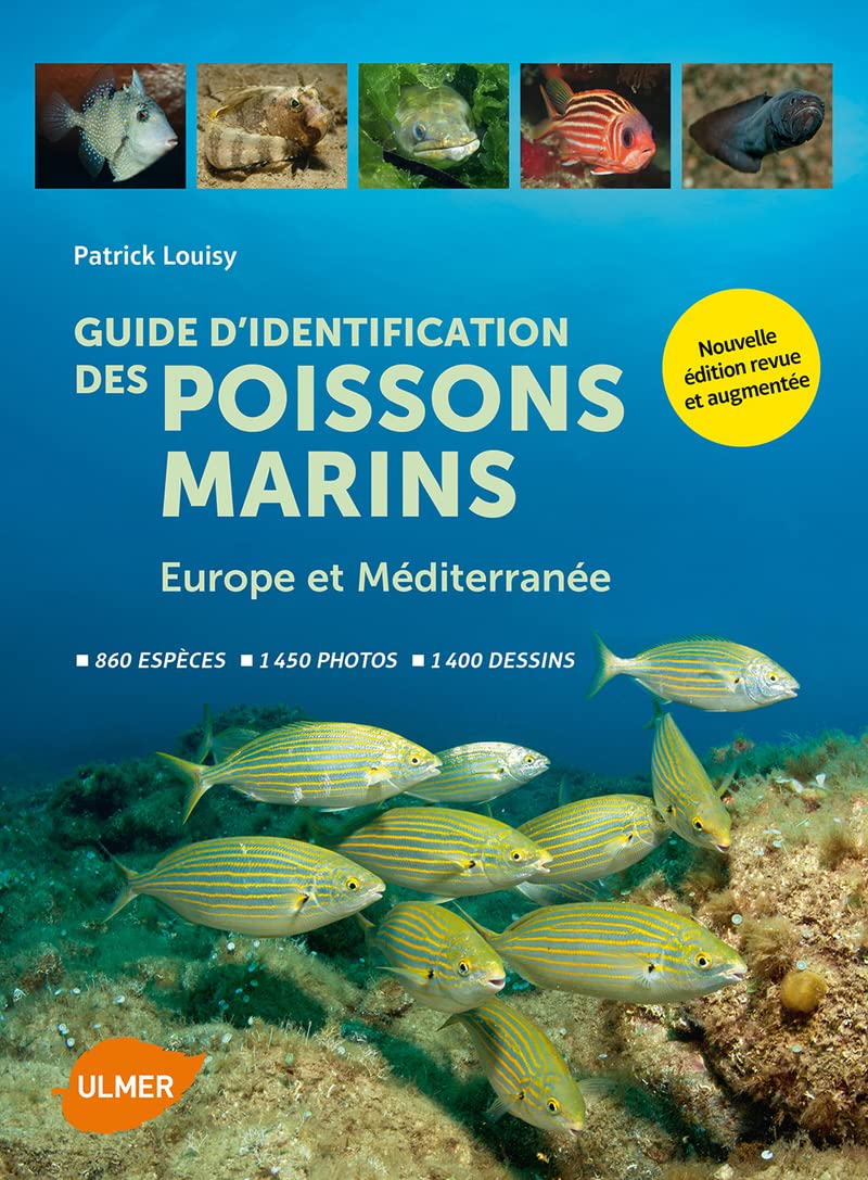Guide d'identification des poissons marins - Eur.& Méd. (Nouvelle édition) 9782841386512