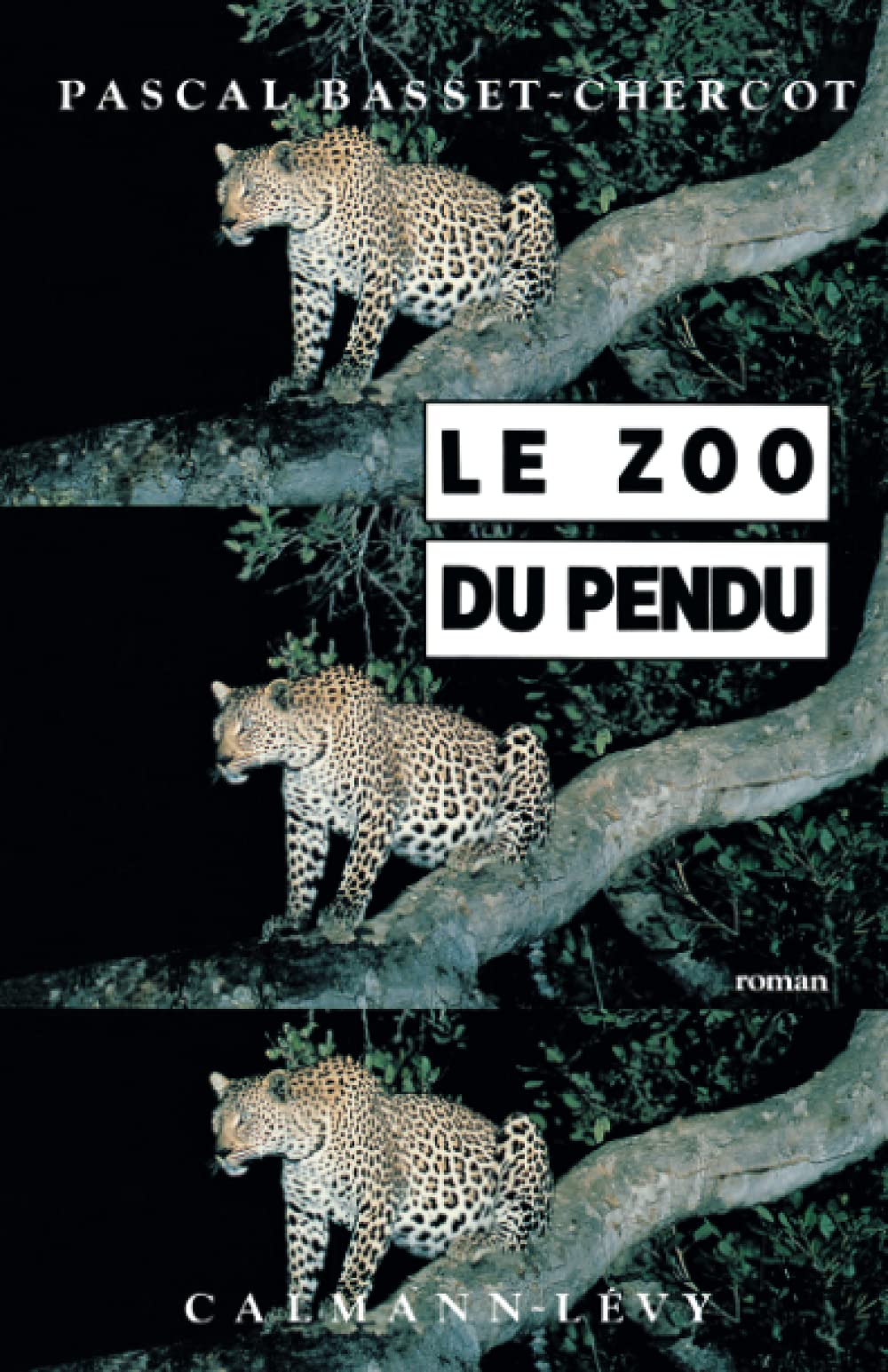 Le Zoo du pendu 9782702118672