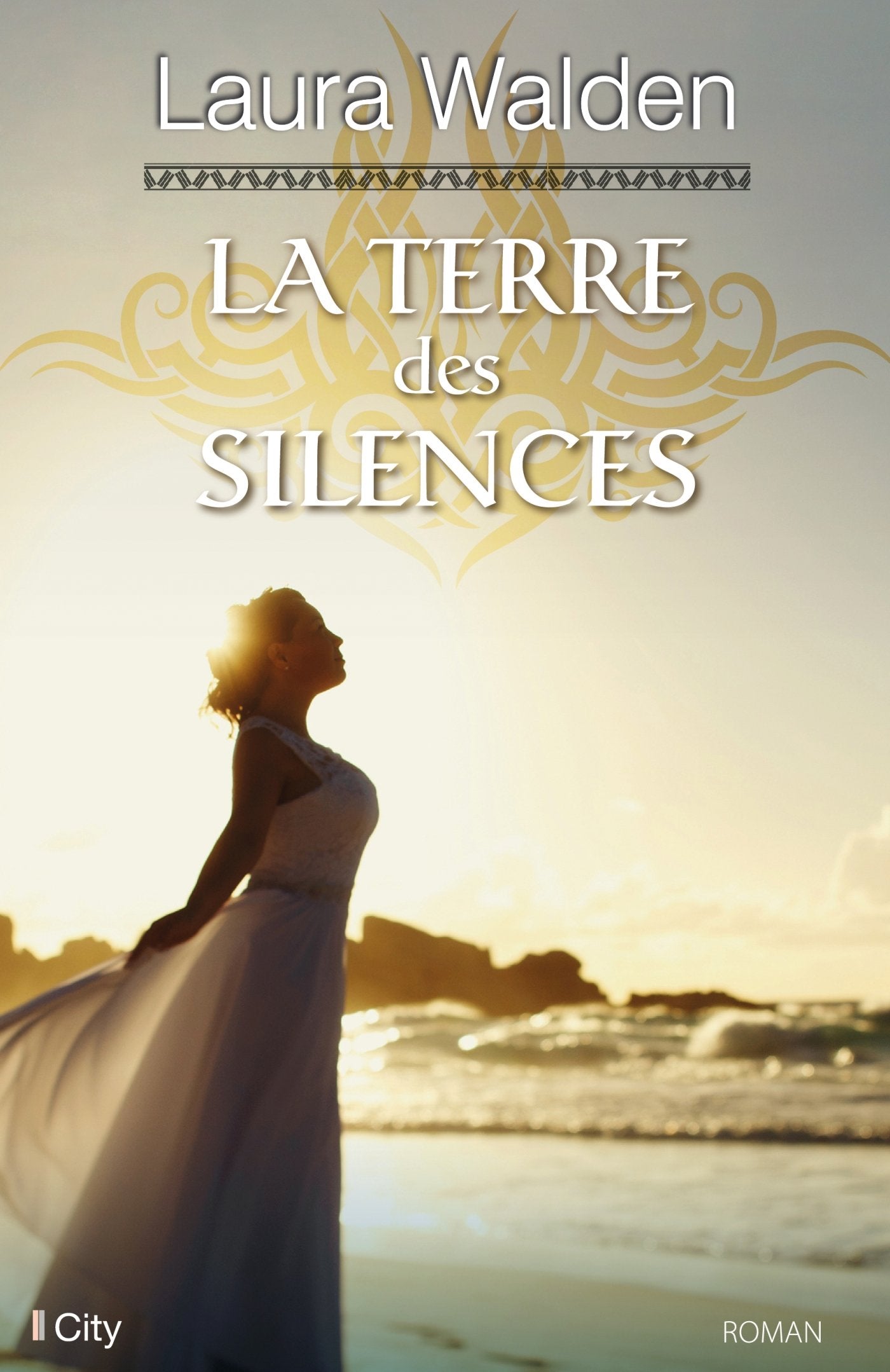 La terre des silences 9782824608419