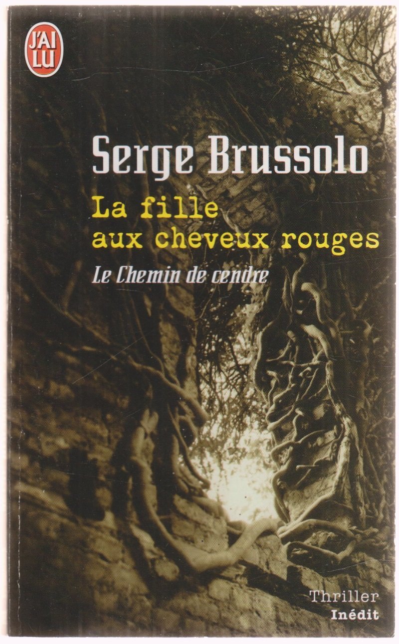 La fille aux cheveux rouges: tome 1, Le chemin de cendre 9782290350935