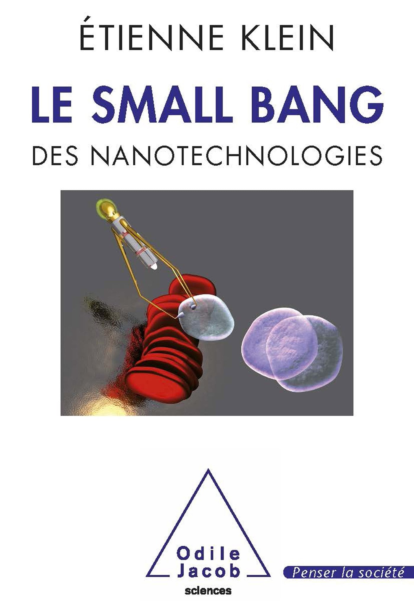 Le small bang des nanotechnologies 9782738125644