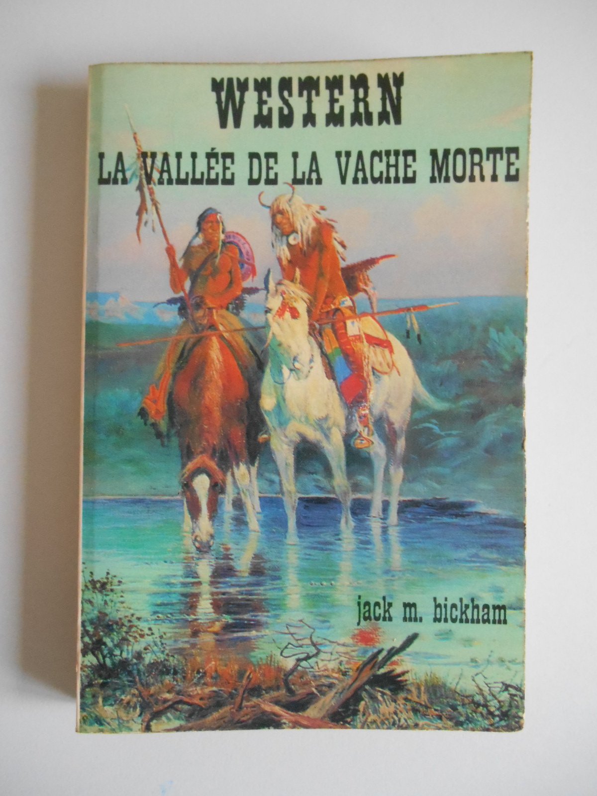 La Vallée de la Vache Morte (Western) 9782702403594