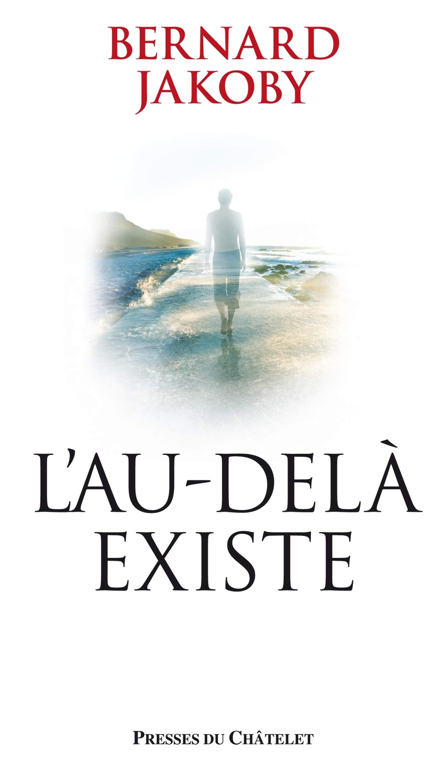 L'au-delà existe 9782845924437