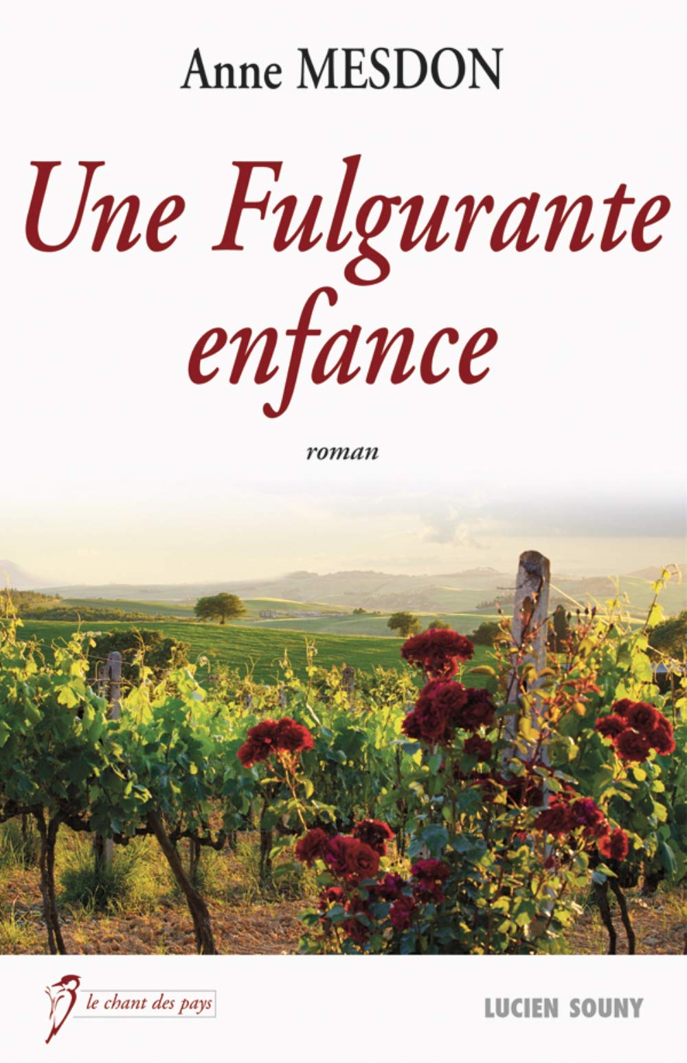 Une Fulgurante Enfance 9782848865447