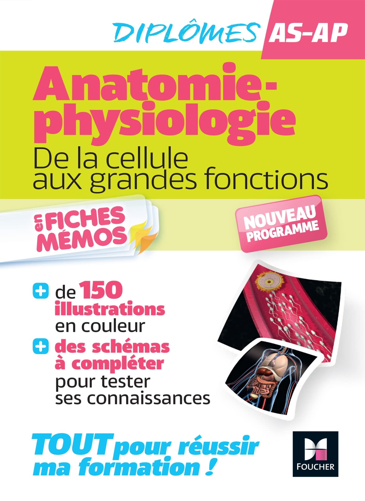 Anatomie-physiologie - De la cellule aux grandes fonctions 9782216165711