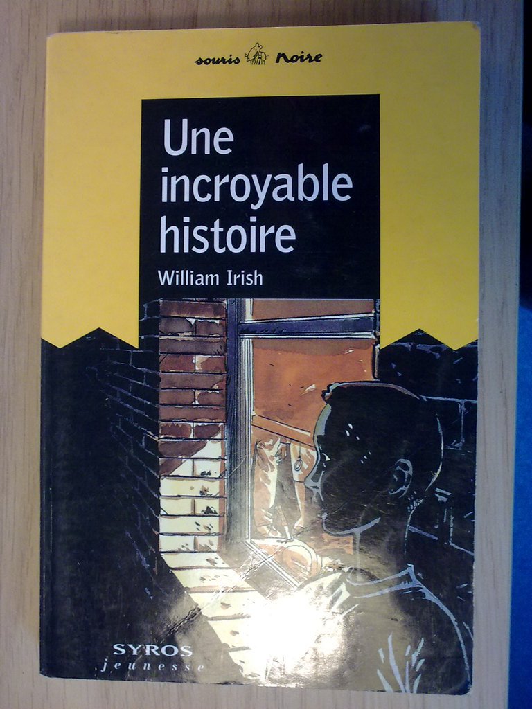 Une incroyable histoire 9782841466009