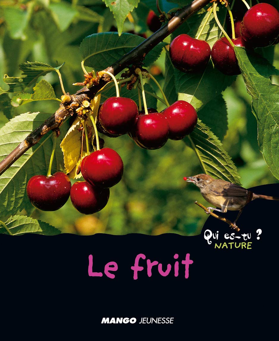 Le fruit 9782740419366