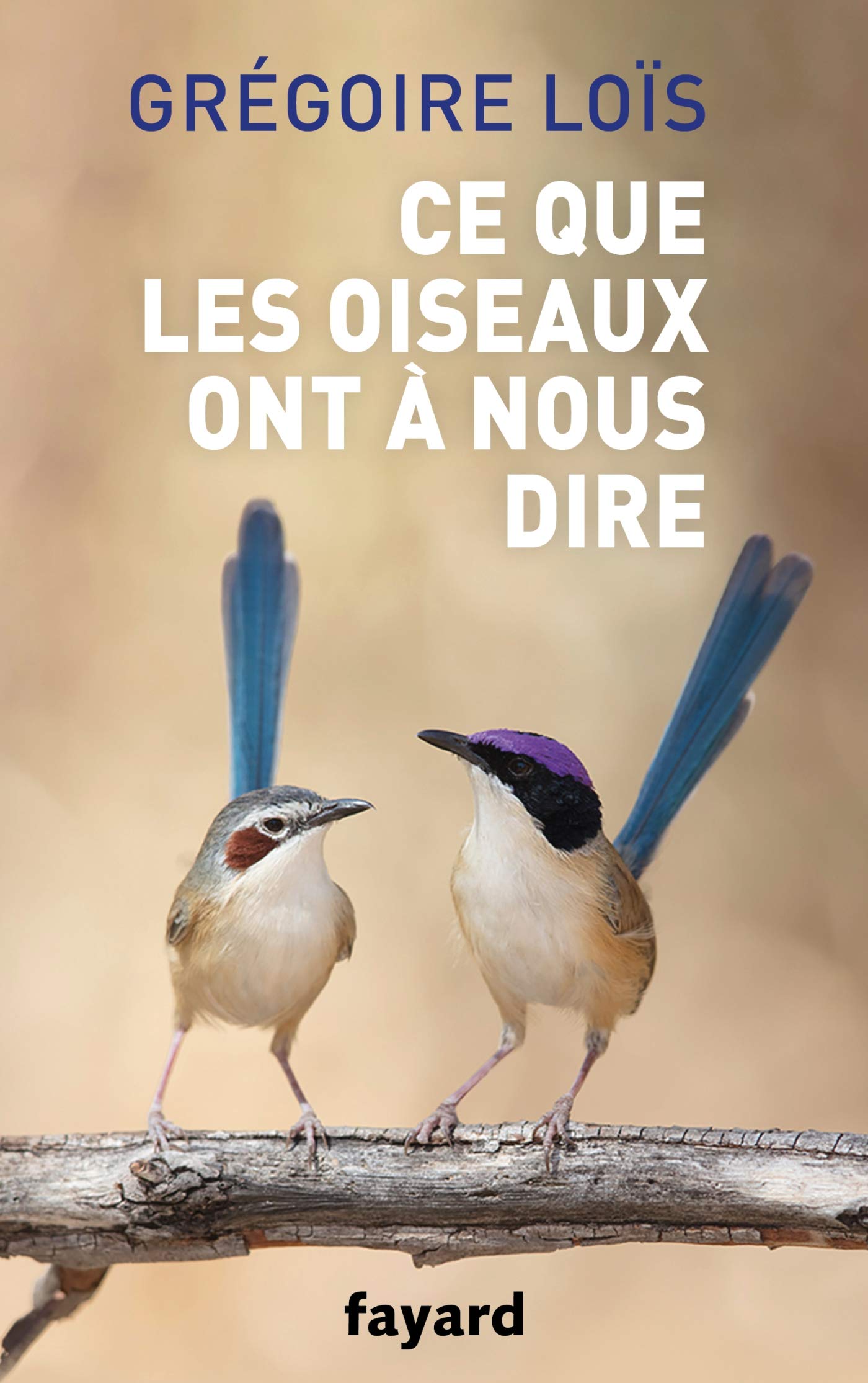 Ce que les oiseaux ont à nous dire 9782213711904