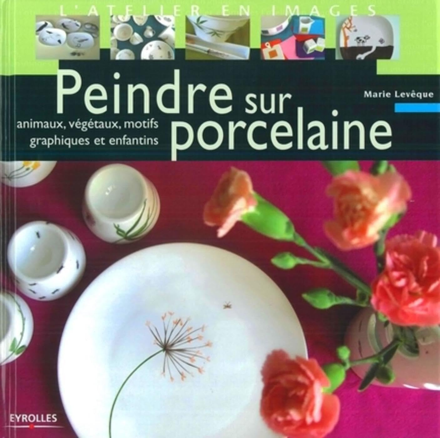 Peindre sur porcelaine: animaux, végétaux, motifs graphiques et enfantins 9782212117448