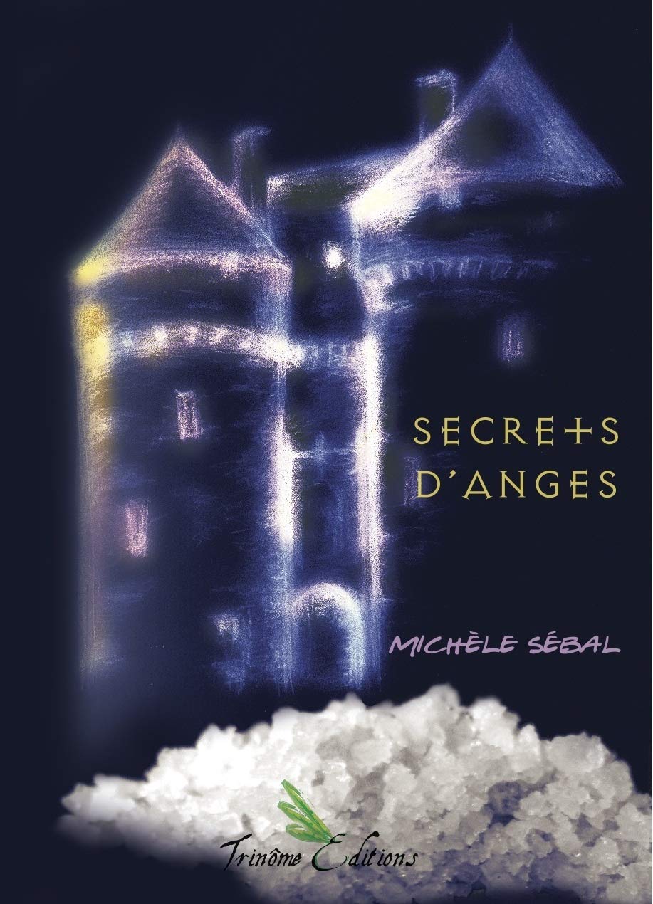 Secret d'anges de Michèle Sébal 9791091626026