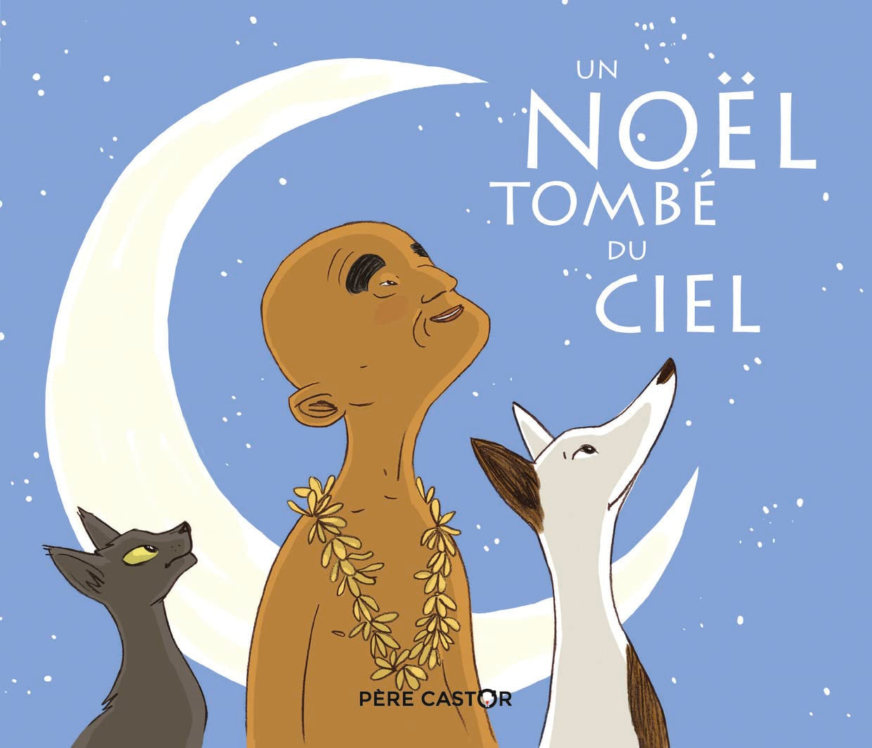 Un Noël tombé du ciel 9782081488687