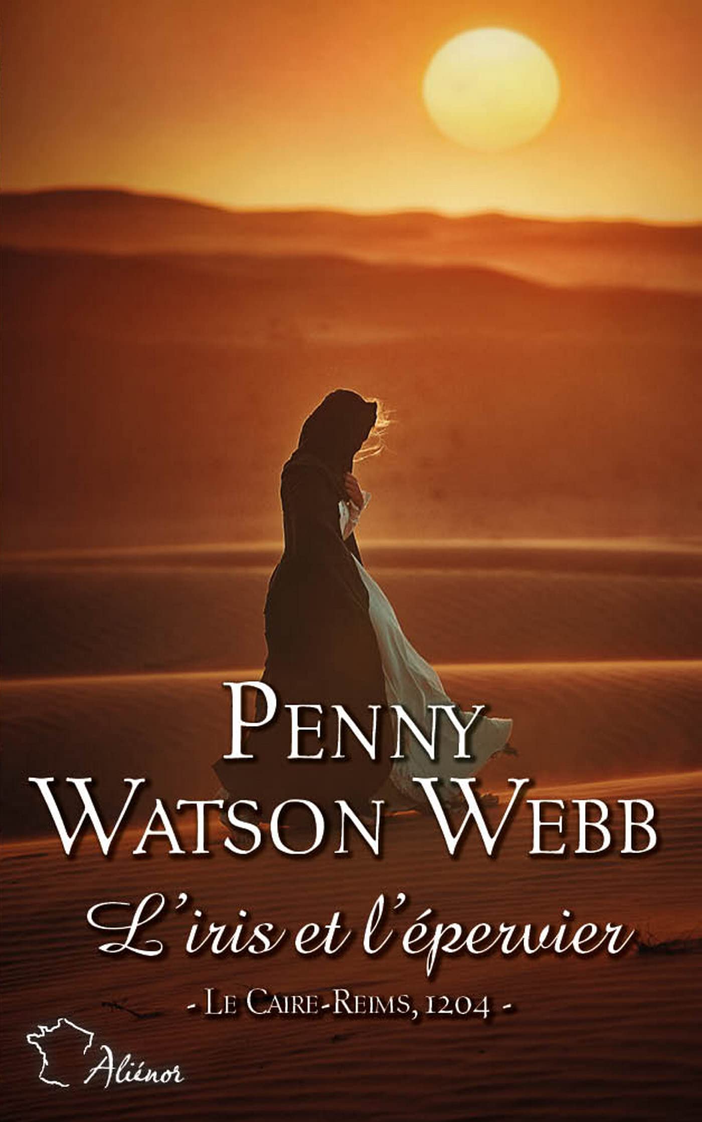 L'iris et l'épervier 9782280455664