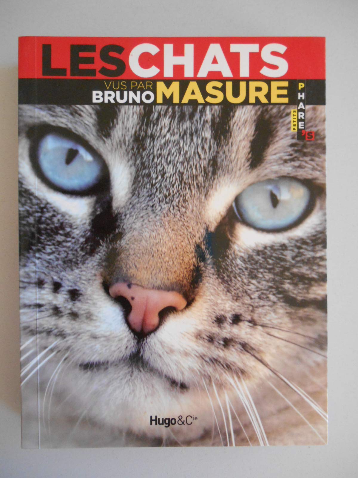 CHATS VU PAR BRUNO MASURE 9782755604610