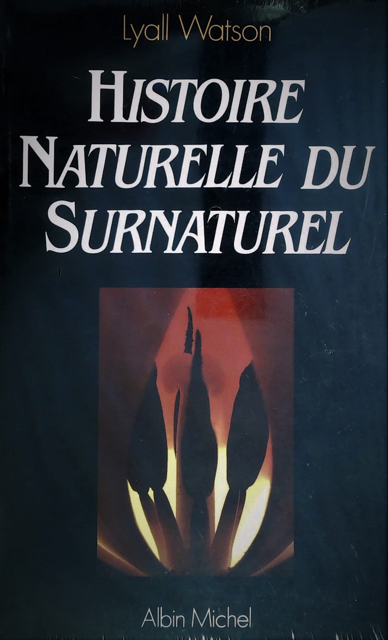 Histoire naturelle du surnaturel 9782226000316