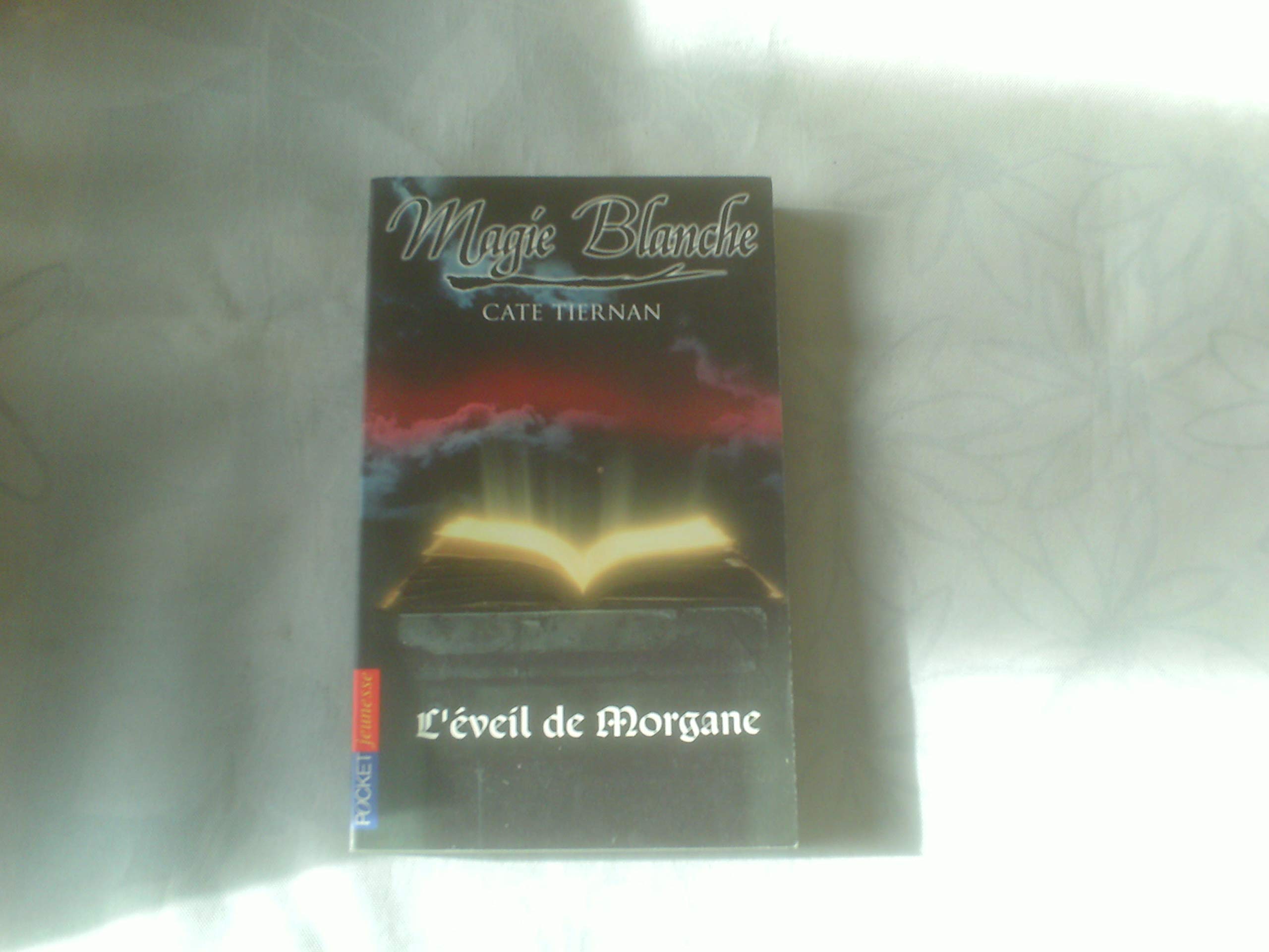 L'éveil de Morgane 9782266129114