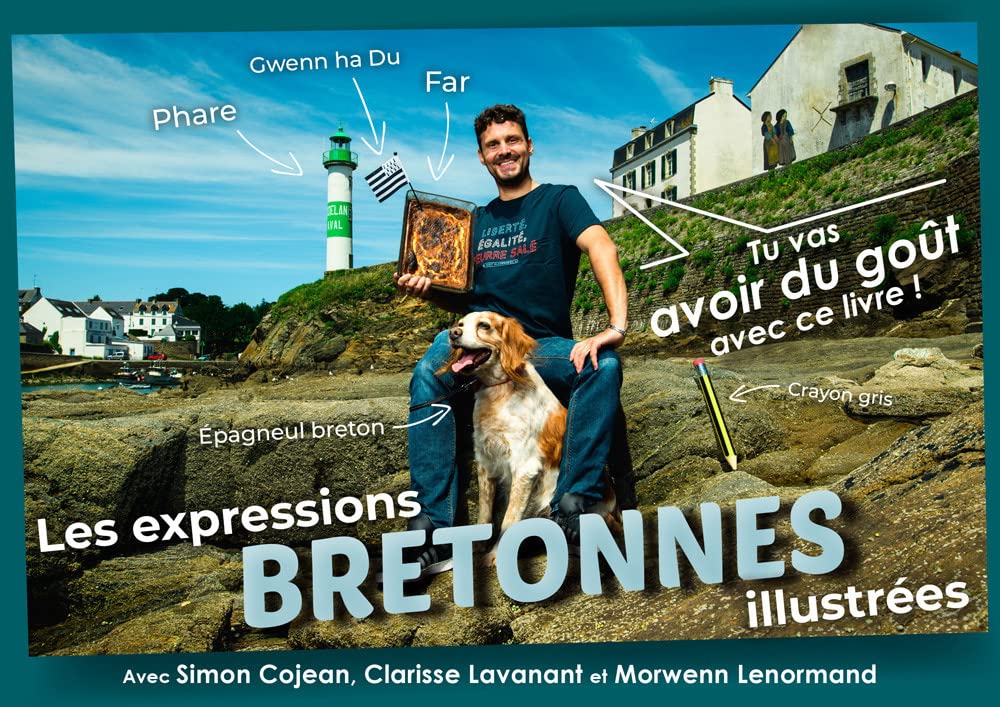 Les expressions bretonnes illustrées 9782956236269