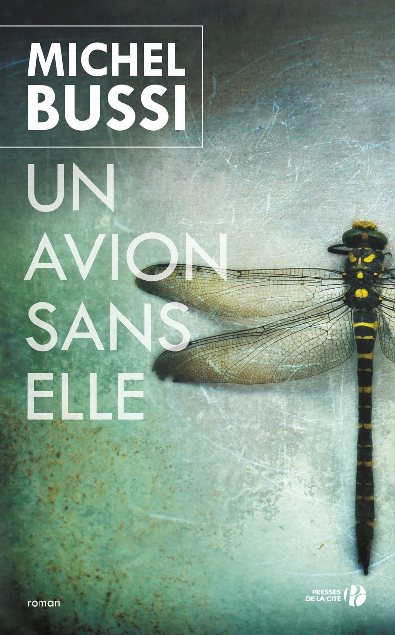 Un avion sans elle - Prix Maison de la Presse 2012 9782258092785