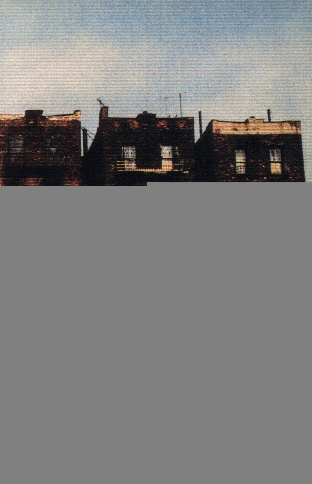 Le rat en flammes 9782743600662