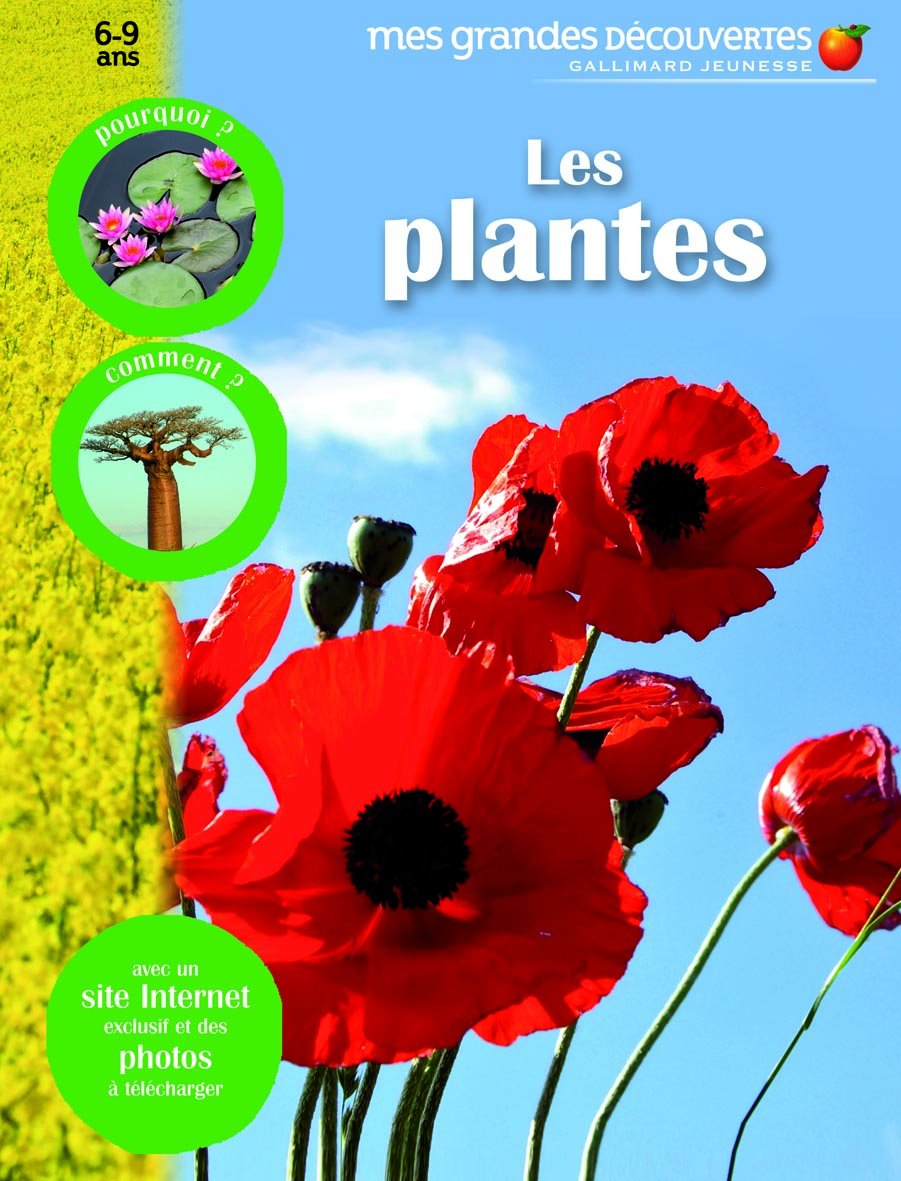 LES PLANTES - Mes Grandes Découvertes - 6/9 ans 9782070622924