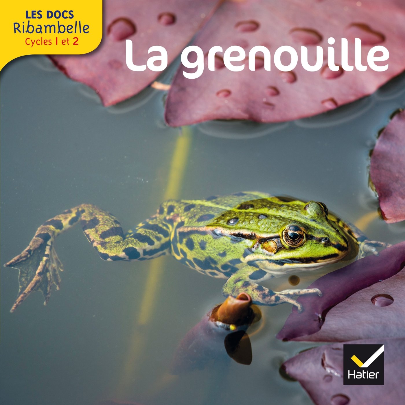 Les Docs Ribambelle Cycle 2 éd. 2014 - La grenouille 9782218973079