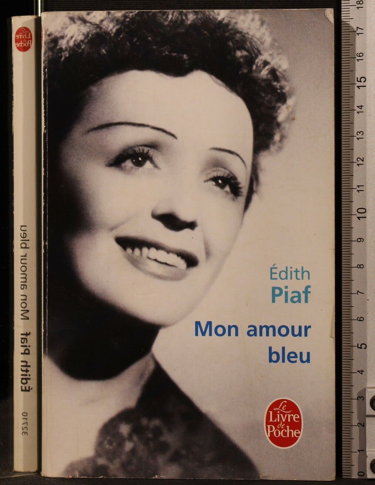 Mon amour bleu 9782253164234
