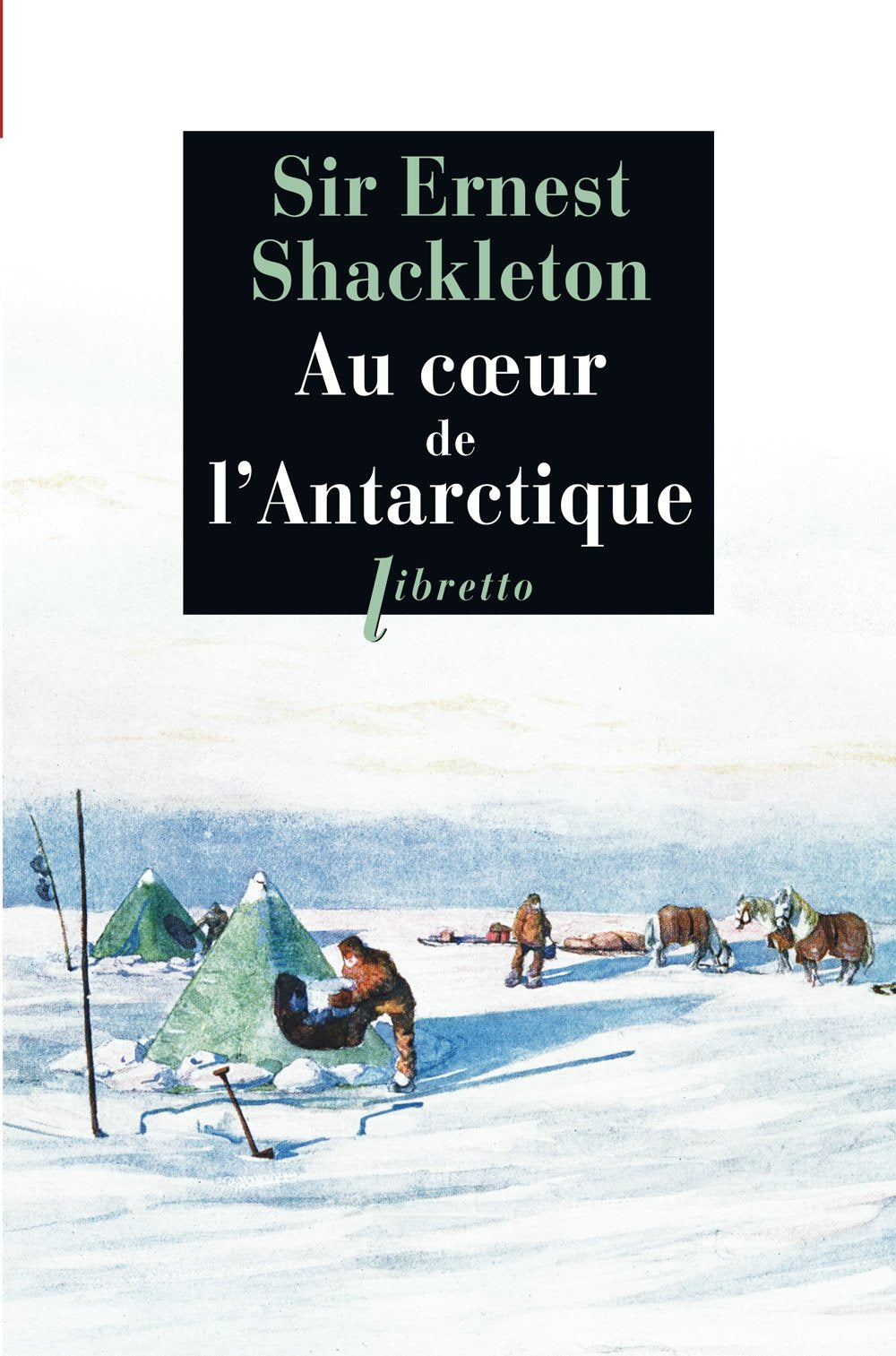 Au coeur de l'Antarctique (0000) 9782752904669