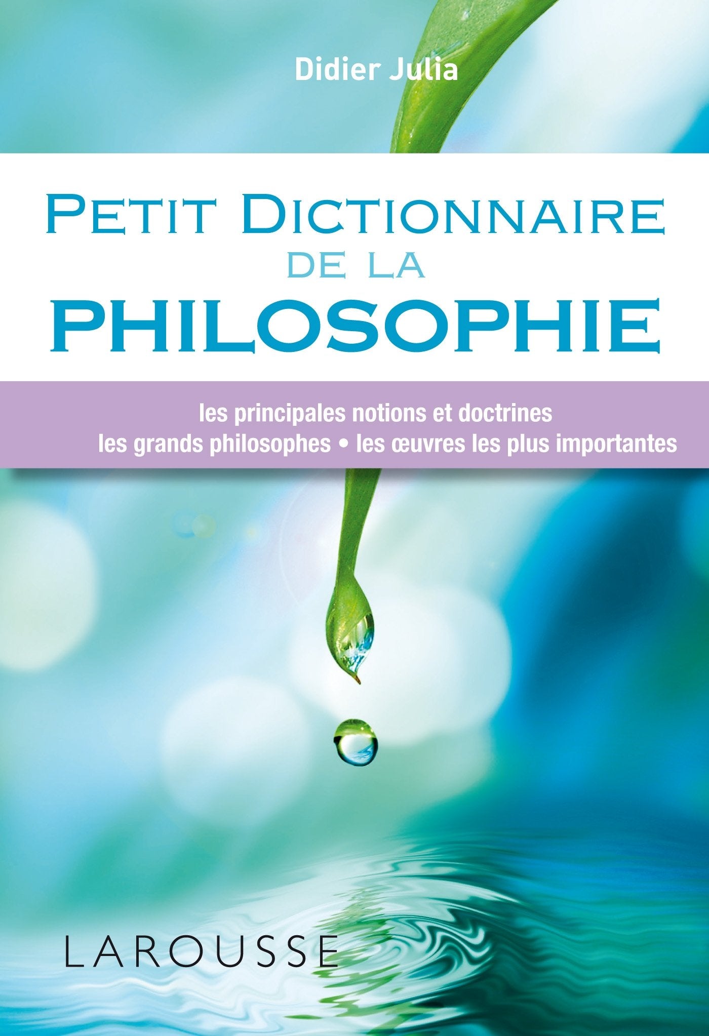 Petit dictionnaire de la philosophie 9782035893192