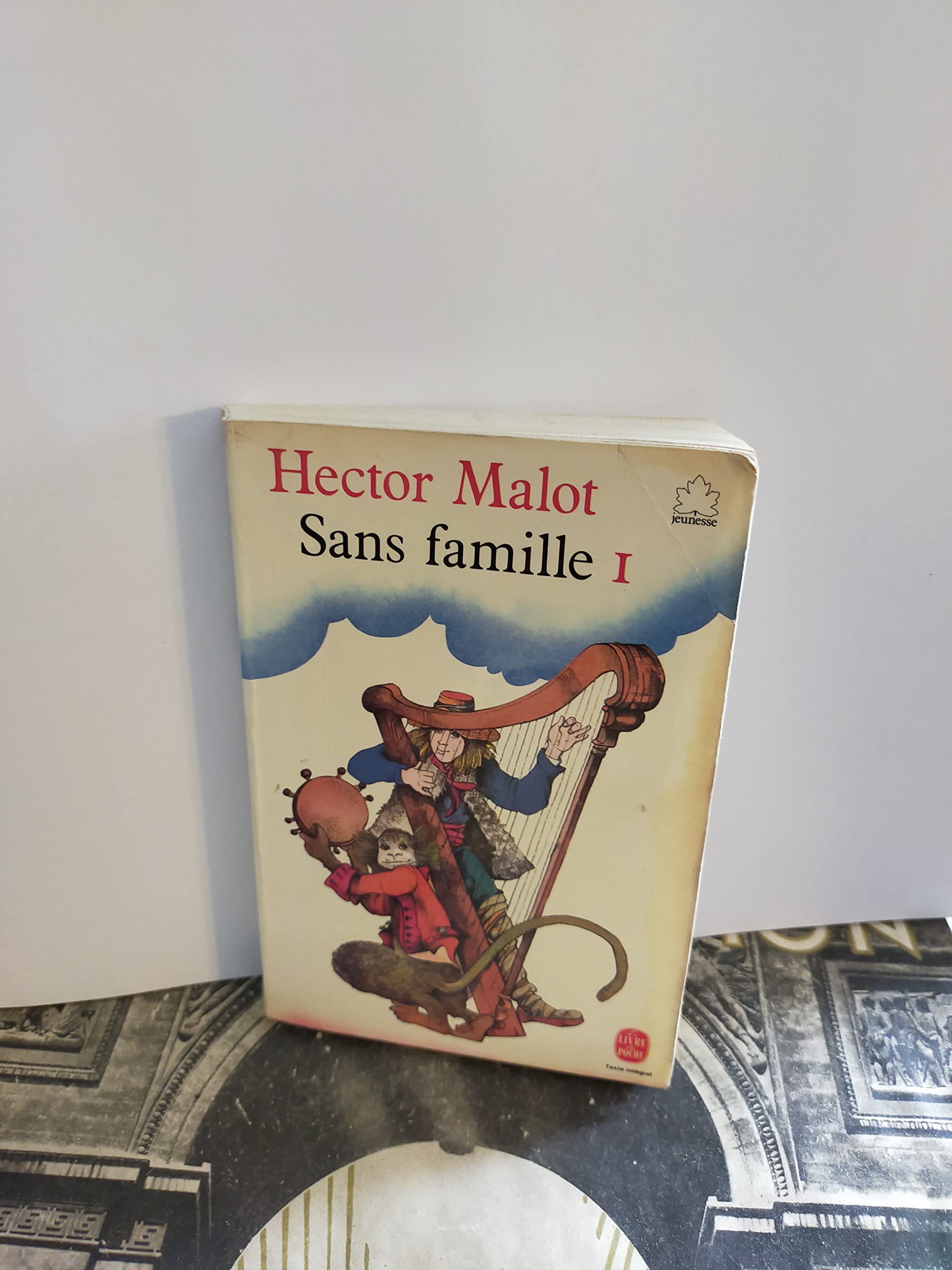 Sans Famille Tome 1 9782253028819
