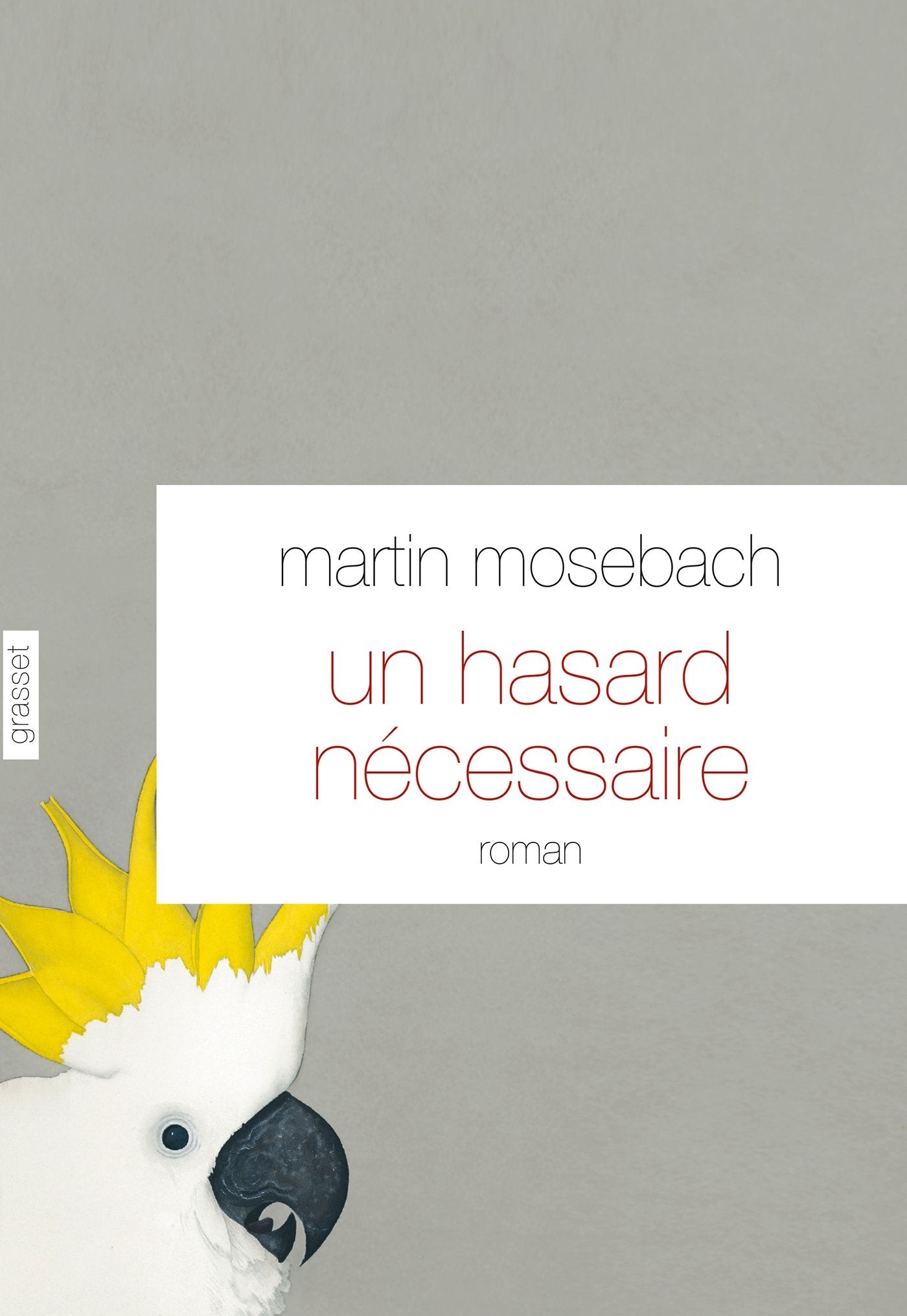 Un hasard nécessaire: Roman - traduit de l'allemand par Frédérique Laurent 9782246785613