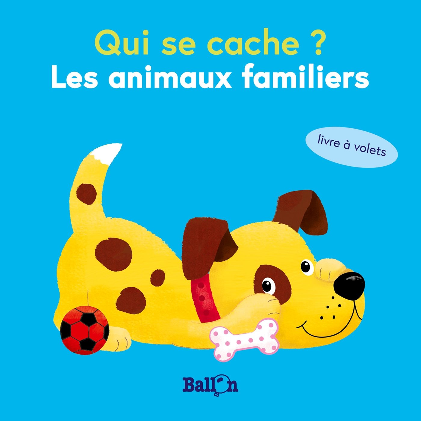 Qui se cache mini ? Les animaux familiers 9789403202372