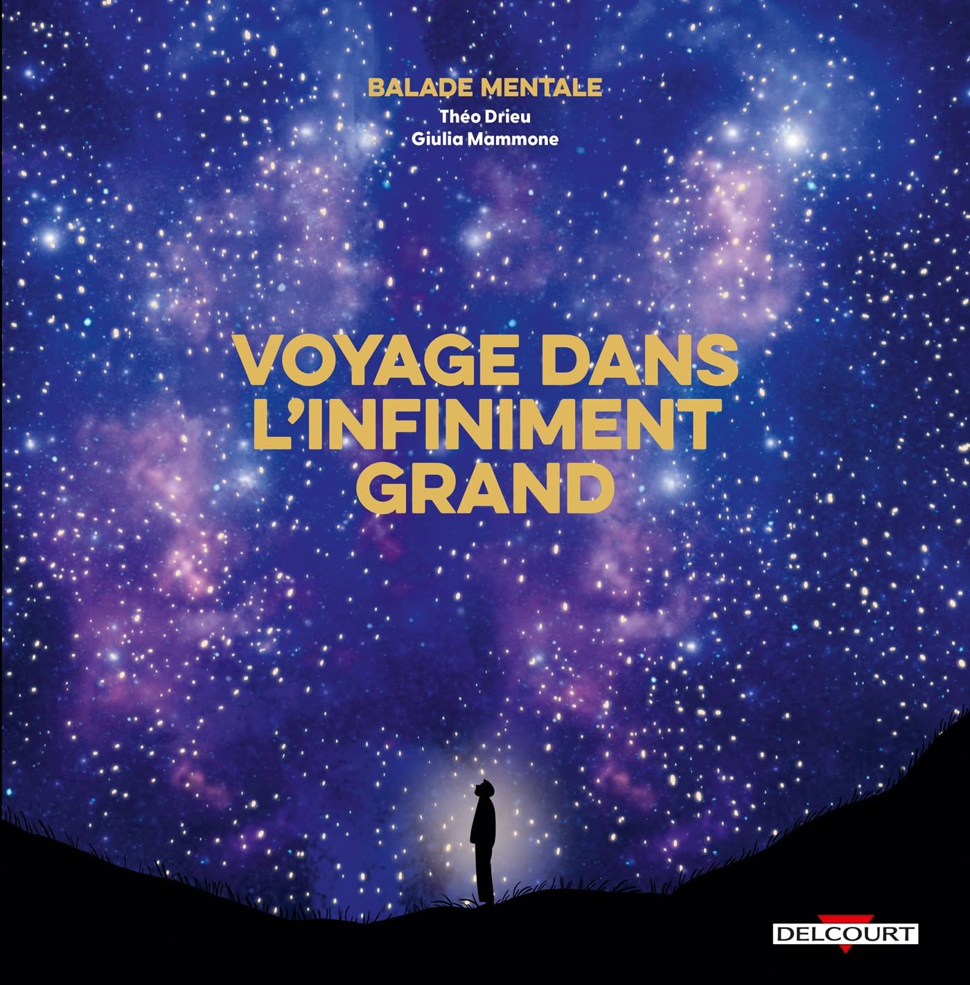 Balade mentale : Voyage dans l'infiniment grand 9782413083337