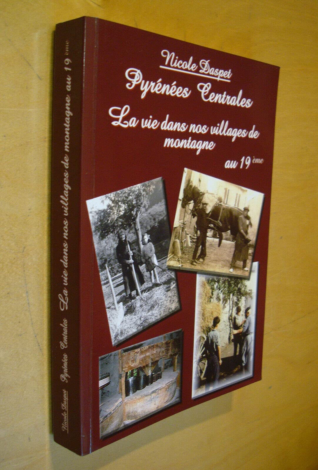 PYRENEES CENTRALES - LA VIE DANS NOS VILLAGES DE MONTAGNE AU 19 ème 9782952161114