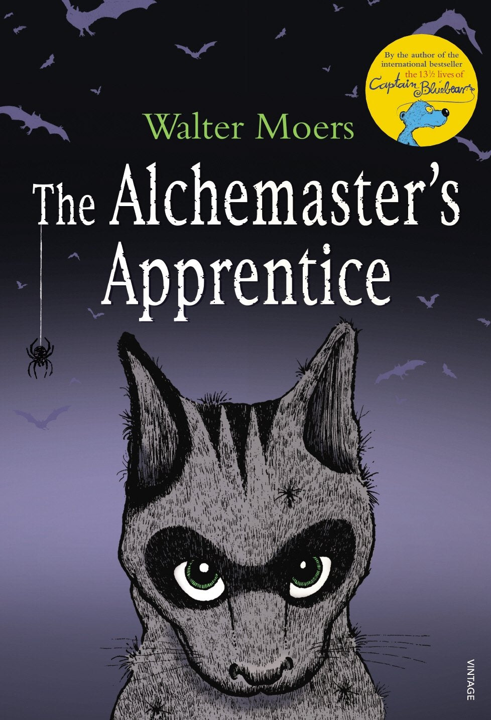 The Alchemaster's Apprentice 9780099526322