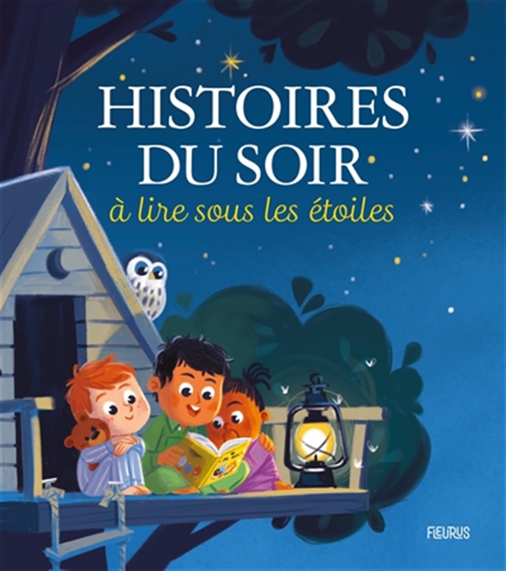 Histoires du soir à lire sous les étoiles 9782215166047